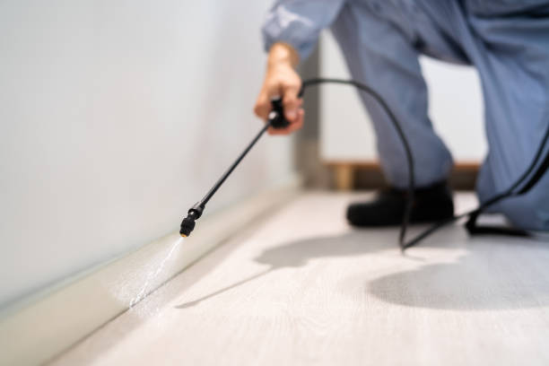 Licensed Termite Control service in Fort Dick, CA - Nex Pest Control