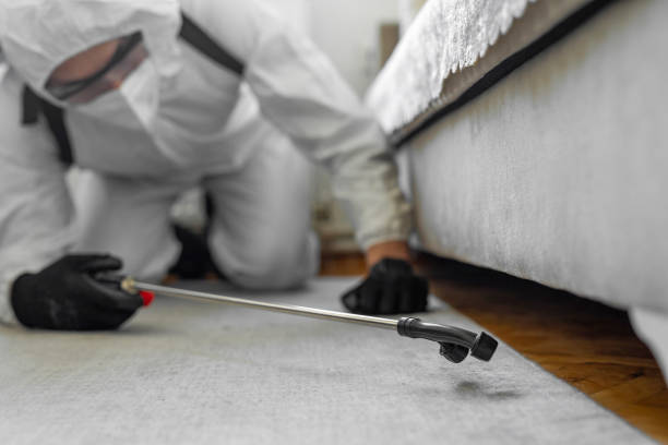 Professional Termite Control technician working in Fort Dick, CA