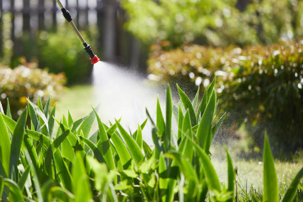 24/7 Emergency Termite Control experts in Fort Dick, CA