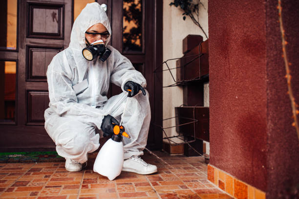 Reliable Termite Control contractor in Fort Dick, CA by Nex Pest Control