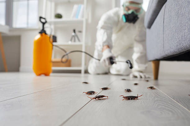 Affordable Termite Control solutions in Fort Dick, CA