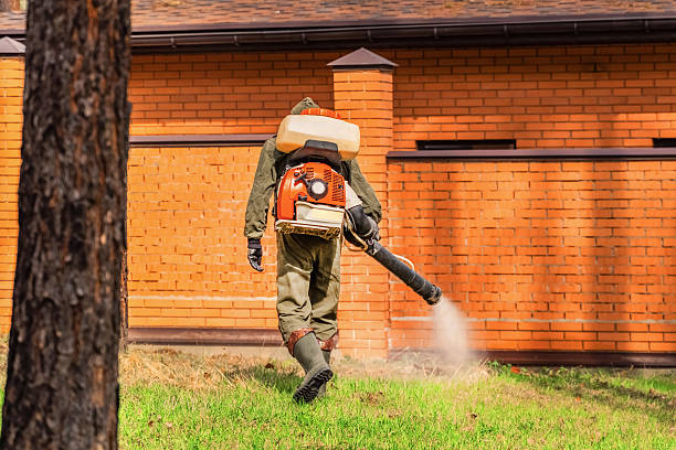 Top rated local Termite Control specialists in Fort Dick, CA